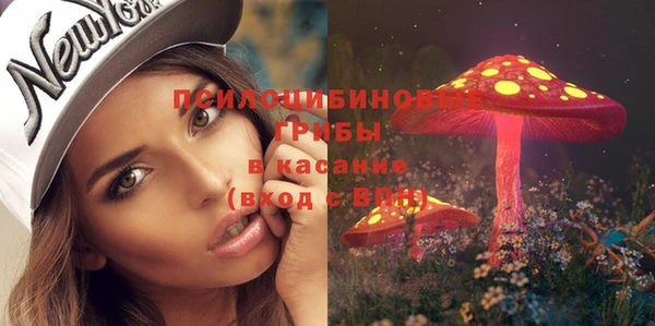 apvp Абинск