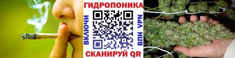 Бошки марихуана индика Щёлково